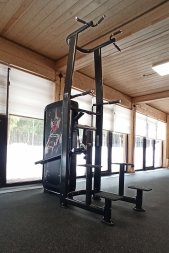 Отжимание/подтягивание с отягощением SPIRIT SP-3517 со стеком 90 кг