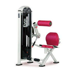 Разгибание спины Panatta Fit Evo 1FE005