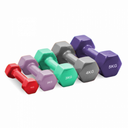 Виниловая гантель Hasttings Digger HD51D3A-4