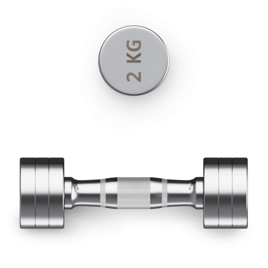 Гантель UNIX Fit PRO круглая хромированная 2 кг, 2 шт.