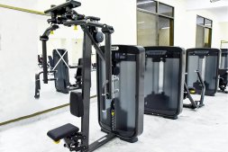 Баттерфляй/задние дельты SPIRIT SP-3519 со стеком 90 кг