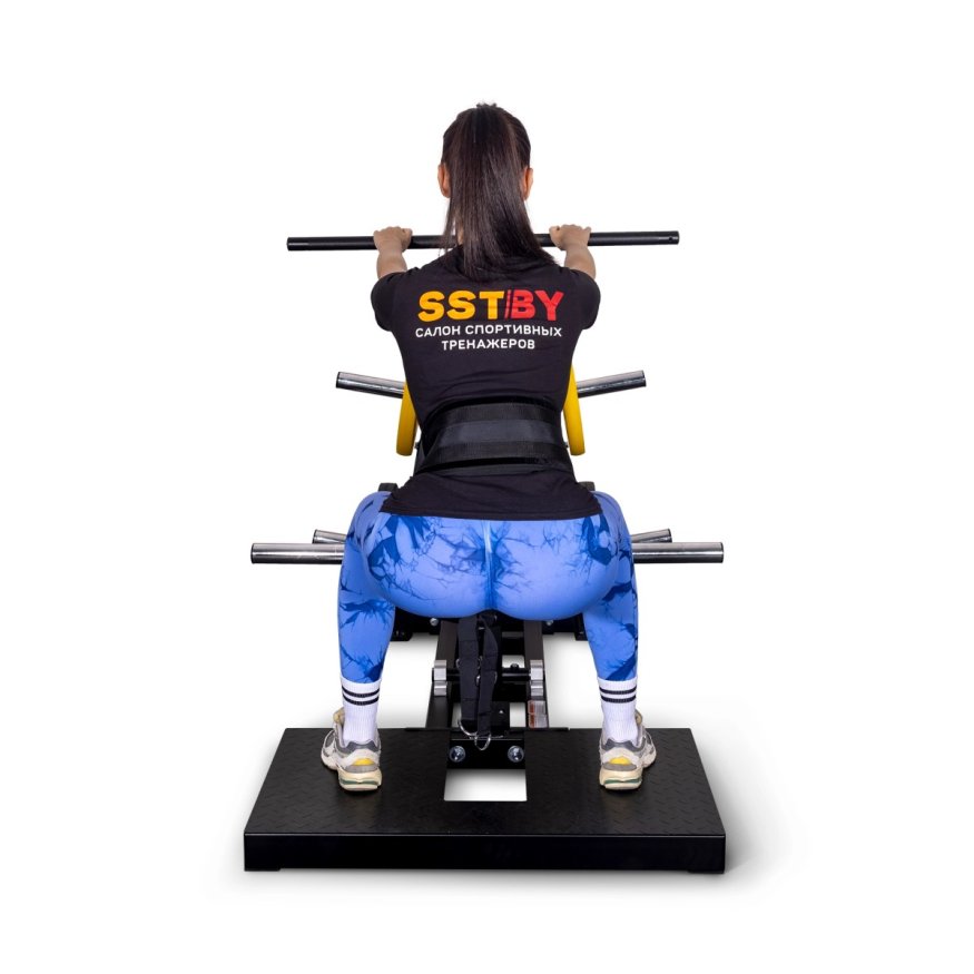 Приседания с поясом (колодец) на свободных весах Protrain PR-BS01B