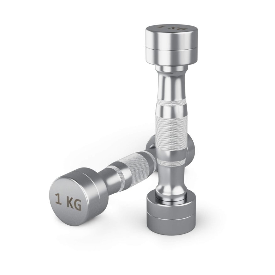 Гантель UNIX Fit PRO круглая хромированная 1 кг, 2 шт.