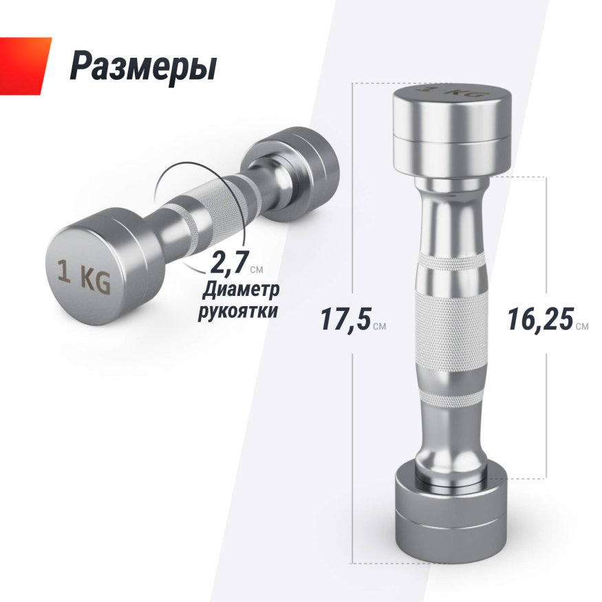 Гантель UNIX Fit PRO круглая хромированная 1 кг, 2 шт.