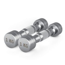 Гантель UNIX Fit PRO круглая хромированная 1 кг, 2 шт.