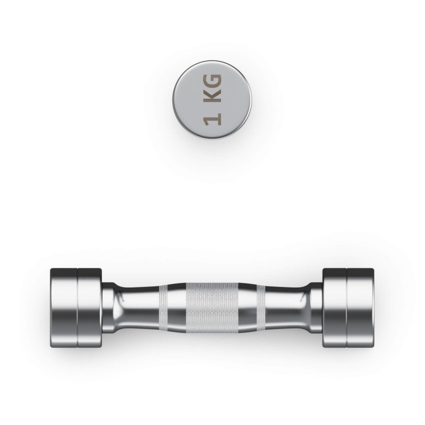 Гантель UNIX Fit PRO круглая хромированная 1 кг, 2 шт.