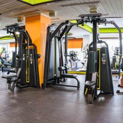 U3007C (E3007) Баттерфляй - задние дельты. Стек 109 кг