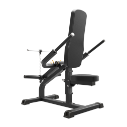 Impulse IFP1706 Бицепс / Трицепс 2 в 1