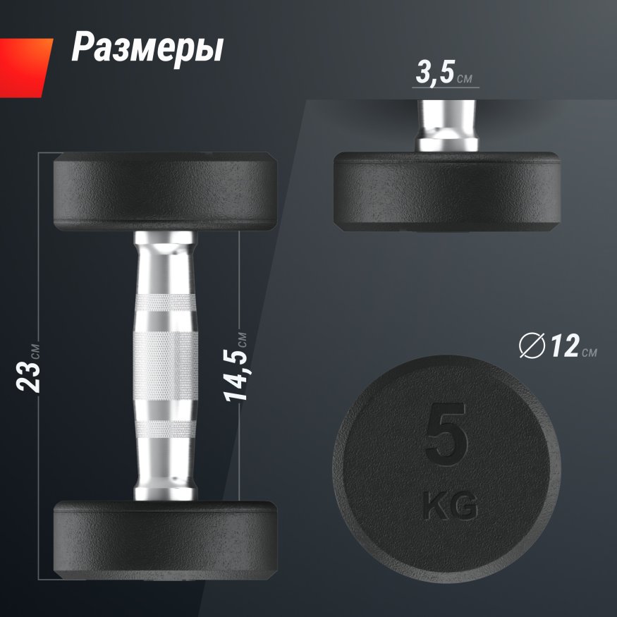 Гантель UNIX Fit PRO круглая обрезиненная 5 кг, 2 шт.