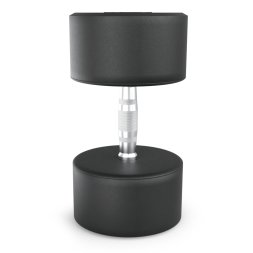 Гантель UNIX Fit PRO круглая обрезиненная 40 кг, 2 шт.