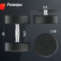 Гантель UNIX Fit PRO круглая обрезиненная 27,5 кг, 2 шт.