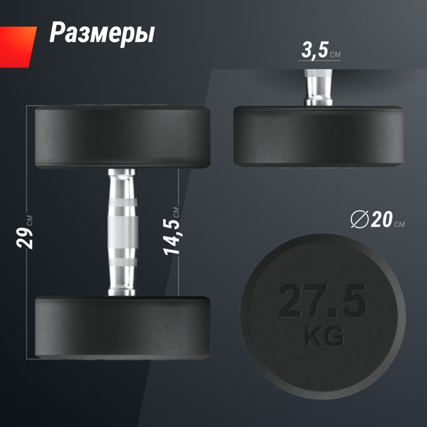 Гантель UNIX Fit PRO круглая обрезиненная 27,5 кг, 2 шт.