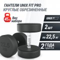 Гантель UNIX Fit PRO круглая обрезиненная 22,5 кг, 2 шт.