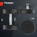 Гантель UNIX Fit PRO круглая обрезиненная 20 кг, 2 шт.