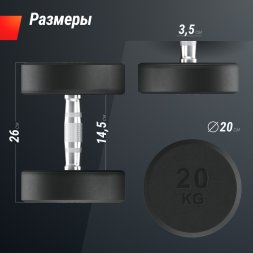 Гантель UNIX Fit PRO круглая обрезиненная 20 кг, 2 шт.