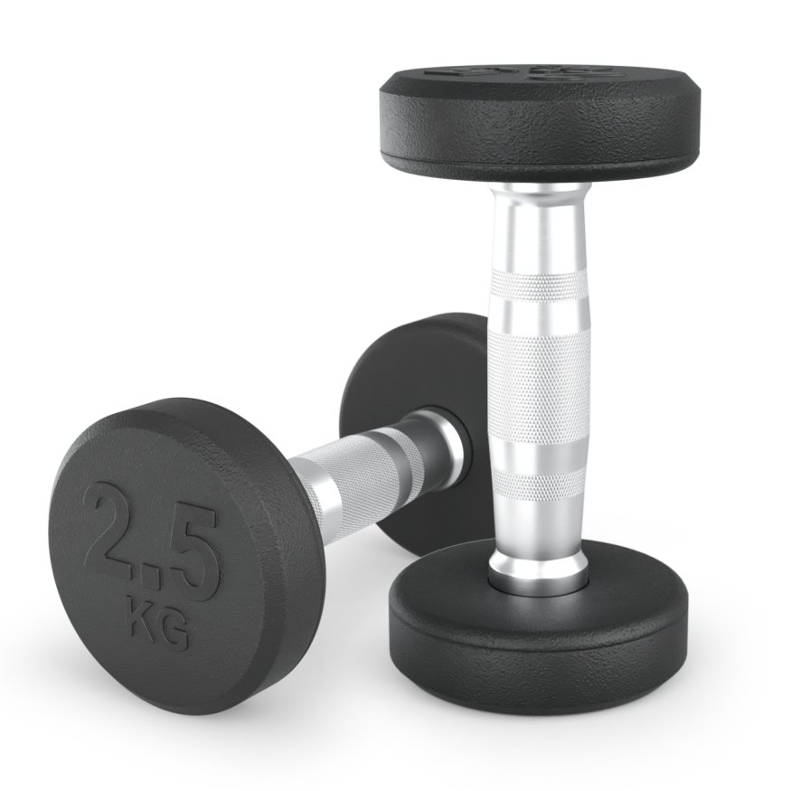 Гантель UNIX Fit PRO круглая обрезиненная 2,5 кг, 2 шт.