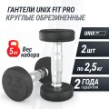 Гантель UNIX Fit PRO круглая обрезиненная 2,5 кг, 2 шт.
