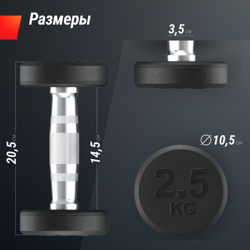 Гантель UNIX Fit PRO круглая обрезиненная 2,5 кг, 2 шт.