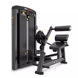 Разгибание спины Protrain LFS118