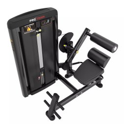 Разгибание спины Protrain LFS118