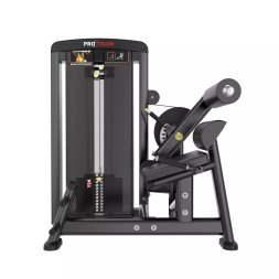 Разгибание спины Protrain LFS118