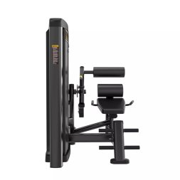 Разгибание спины Protrain LFS118