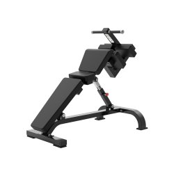 Скамья для пресса регулируемая Protrain PP145 (полностью черный)