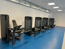 Сгибание ног в положении лежа SPIRIT SP-3514 со стеком 109 кг