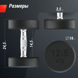 Гантель UNIX Fit PRO круглая обрезиненная 12,5 кг, 2 шт.