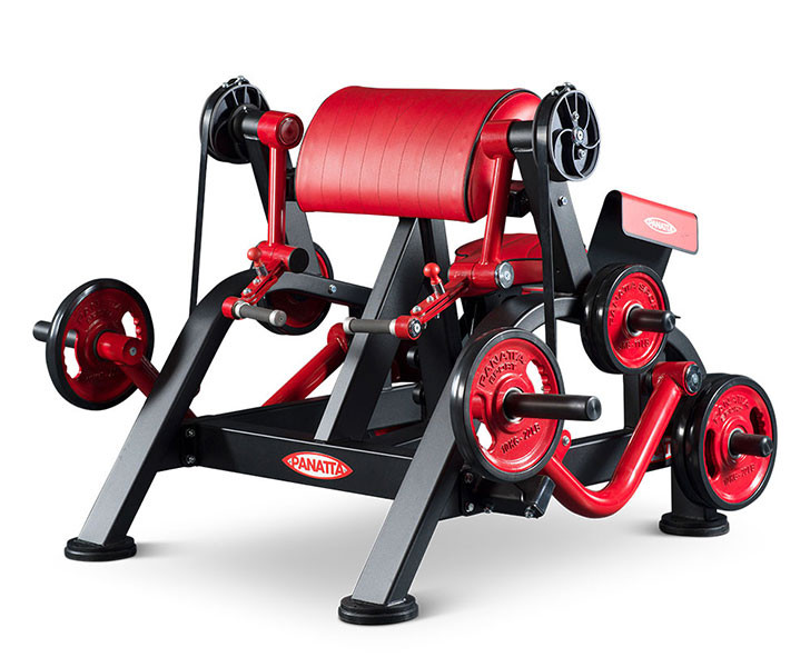 Бицепс Panatta FreeWeight Special 1FW251 (независимый)