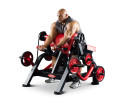 Бицепс Panatta FreeWeight Special 1FW251 (независимый)
