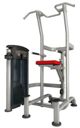 Impulse IT9520 Подтягивание/отжимание с помощью