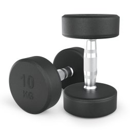 Гантель UNIX Fit PRO круглая обрезиненная 10 кг, 2 шт.