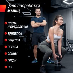 Гантель UNIX Fit PRO круглая обрезиненная 10 кг, 2 шт.