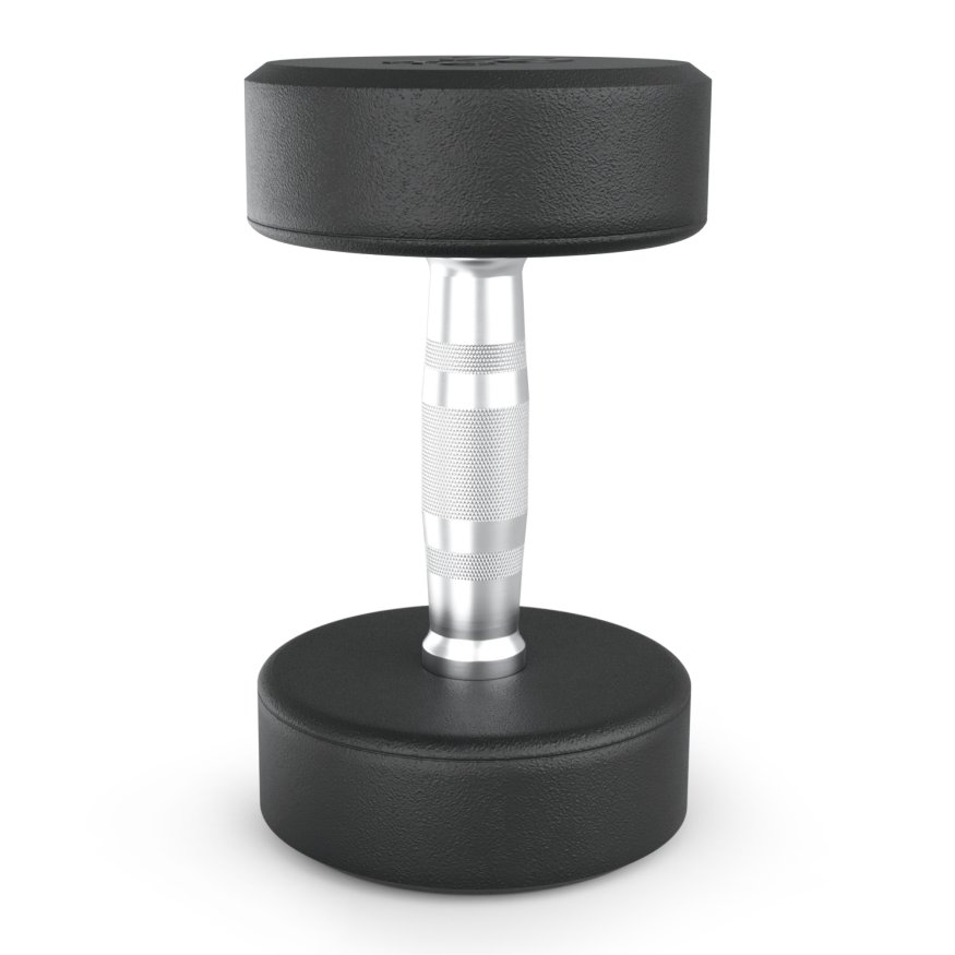 Гантель UNIX Fit PRO круглая обрезиненная 10 кг, 2 шт.