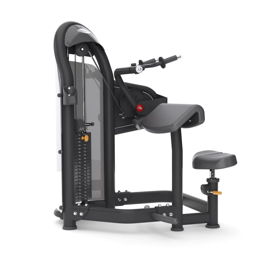  Matrix Fitness Разгибание сидя на трицепс Aura