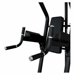 Поднятие коленей/брусья/турник Inspire VKR (VKR1.2B)