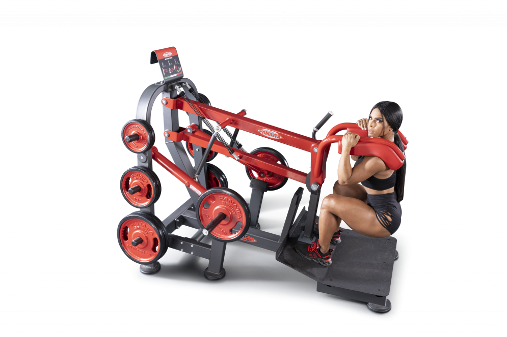 Нагружаемый дисками тренажер Panatta FreeWeight Special 1FW091