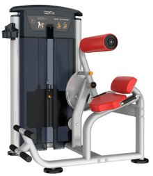 Impulse IT9532 Разгибание спины