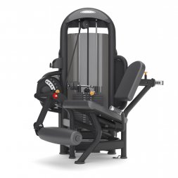  Matrix Fitness Разгибание ног Aura