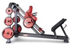 Нагружаемый дисками тренажер Panatta FreeWeight Special 1FW092