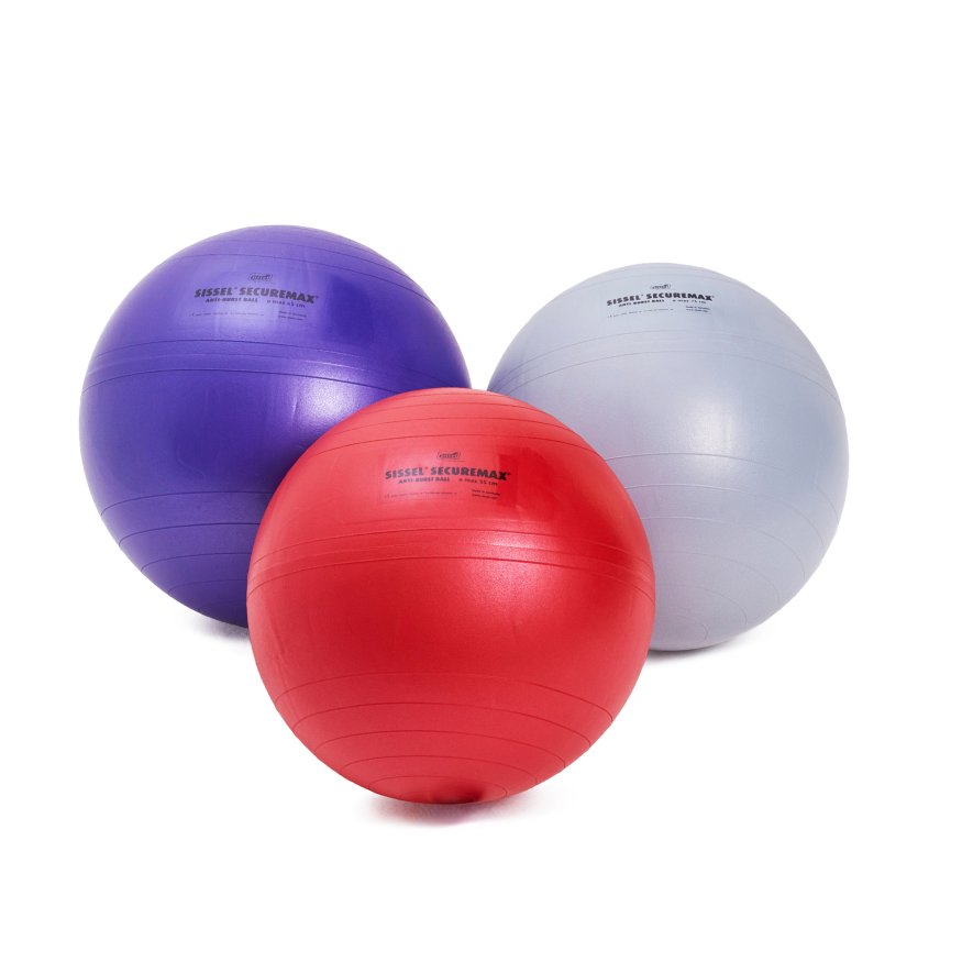 Гимнастический мяч SISSEL Securemax Exercise Ball диаметр 65 см, темно-фиолетовый