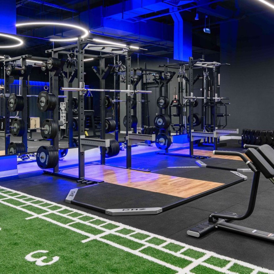 Помост для силовых рам (А3048, А3081) DHZ