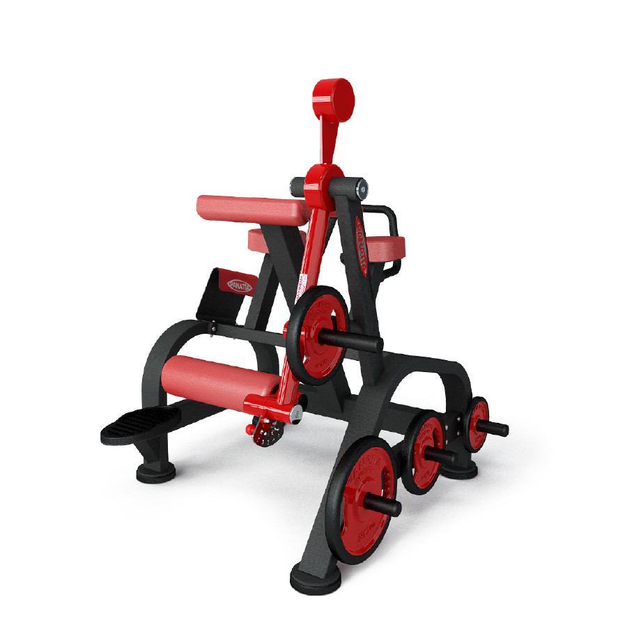 Нагружаемый дисками тренажер Panatta FreeWeight Special 1FW096