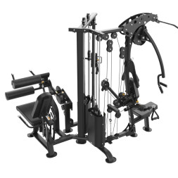 Мультистанция BRONZE GYM EVOLVE TriZone