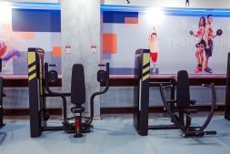 Жим от груди с независимыми рычагами Hasttings Digger HD035-1