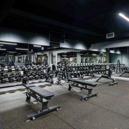 Скамья универсальная мобильная A-3039