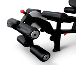 Домашняя мультистанция Inspire M2 (M202B) 91 кг (с опцией HW5)
