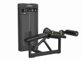 Сгибание ног лежа SPIRIT SP-4318