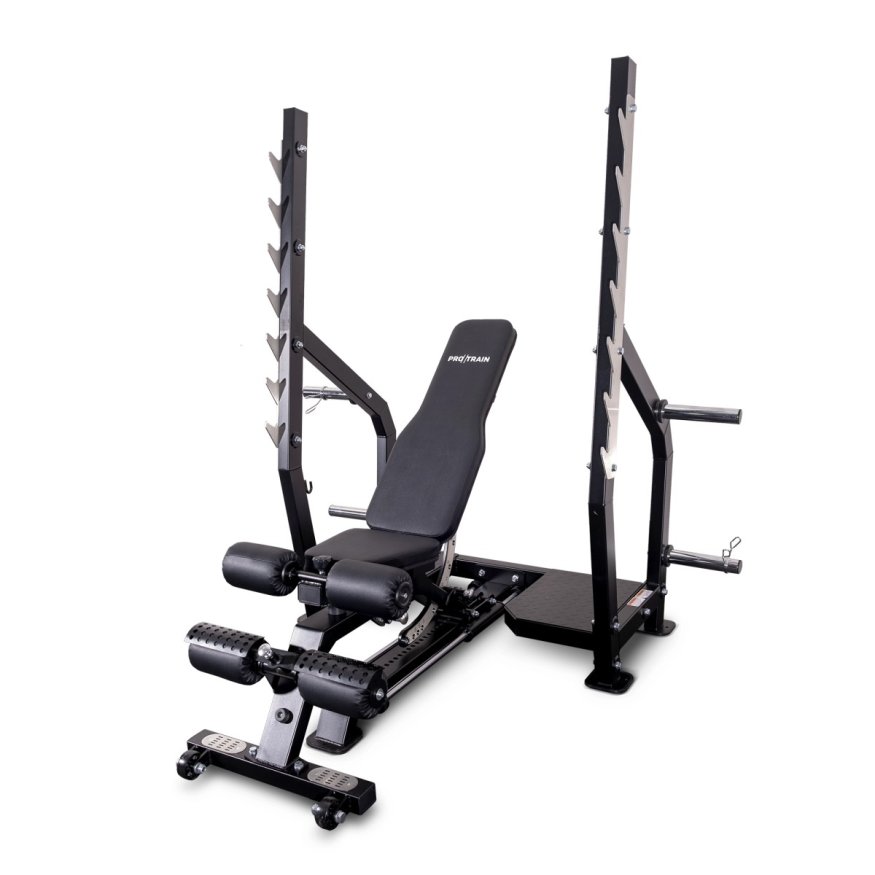 Скамья для жима регулируемая Protrain PR-PRORACK